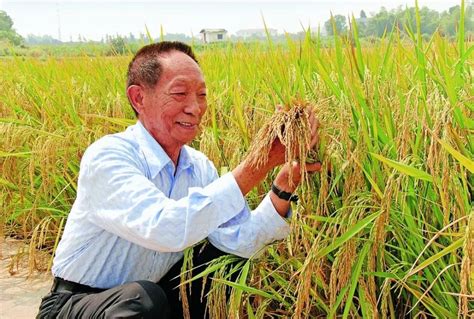 这些纪录片，展示了最真实的袁隆平 总有一个瞬间会让你“破防”