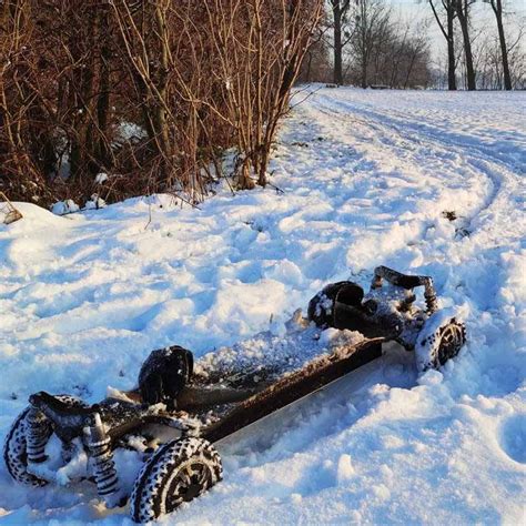 Winter Sports Skateboard 的图像结果