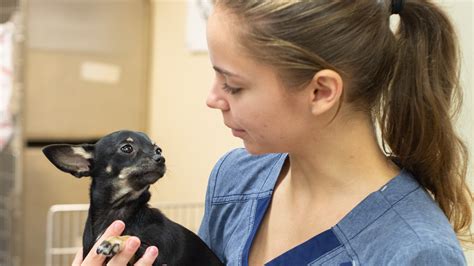 Sumner Spay Neuter Alliance