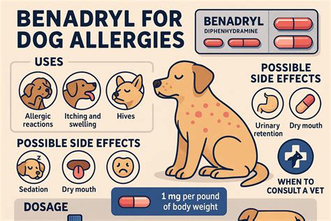 Are Dogs Usually Allergic To Turkey? Expert Advice For Owners