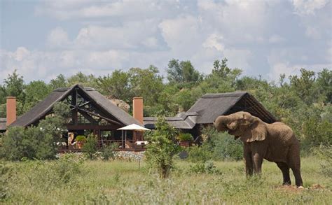 Mateya Safari Lodge, Madikwe Game Reserve