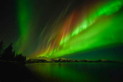 Northern Lights Viewing in Alaska | Travel Alaska