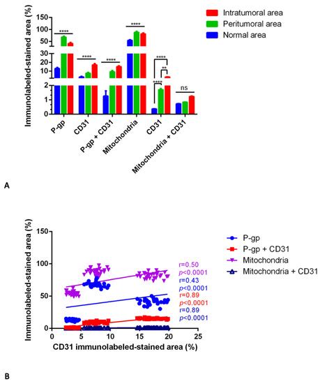 Differential P-Glycoprotein/CD31 Expression as Markers of Vascular Co ...