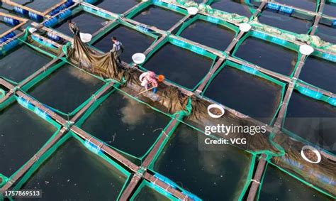 Image result for Note Block Fish Farm
