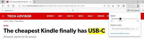 Image result for Screen reader Windows 11