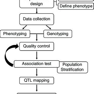 Image result for GWAS Software