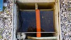vasca per laghetto filtro per laghetto tartarughe vasca per laghetto filtro per laghetto tartarughe