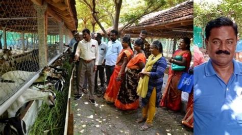 மதுரை அருகே 12 ஏக்கர் குத்தகை நிலத்தில் ஆட்டுப் பண்ணை அமைத்து வருவாய் ...