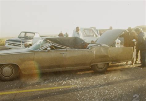 Image result for Whale Body Exploding