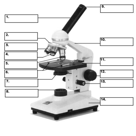 Image result for Light Microscope Model