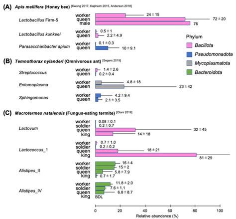 Basic Structures of Gut Bacterial Communities in Eusocial Insects