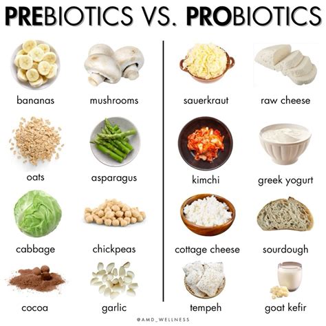 Prebiotics vs Probiotics | Healthy recipes, Healthy snacks, Prebiotics and probiotics