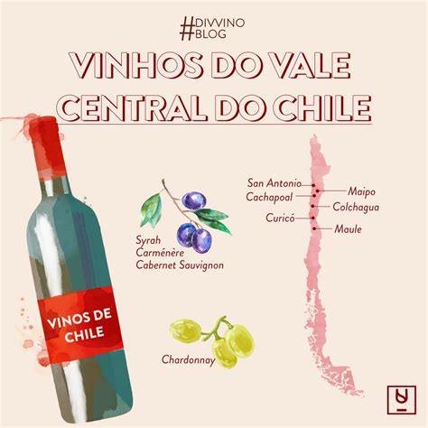 Desvendando os vinhos da região central do Chile | Vinhos e queijos ...