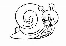 malvorlagen kinder schnecken malvorlagen schnecke 04 ausmalbilder malvorlagen kinder schnecken malvorlagen schnecke 04 ausmalbilder