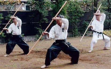 ORENAME Gym Stick Wooden for Weight Loss and Also Use for Self Defence ...