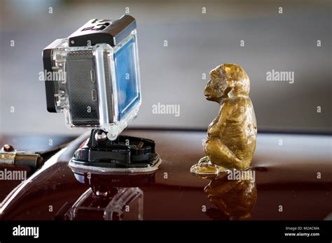 Image result for Monkey GoPro