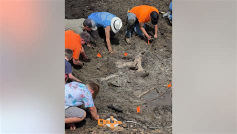 Mastodon found in West Michigan during construction project dig | FOX 2 ...