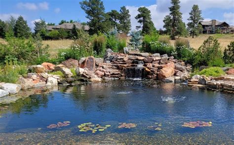 Nature Swim 的图像结果