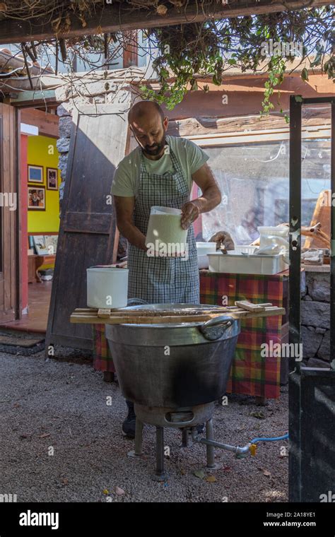 Image result for Making Goat Cheese Process