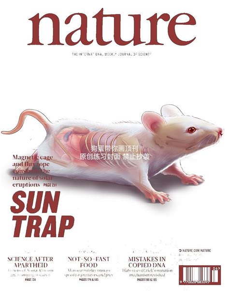 Science期刊封面 的图像结果
