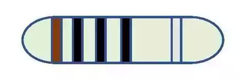Image result for 100 Ohm Resistor Color Code