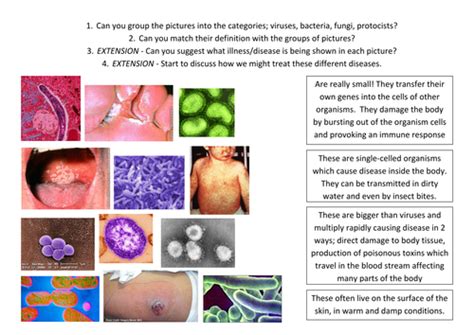 Pathogens 的图像结果