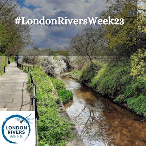 Putting Healthy Rivers at the Heart of the Community › London Rivers Week 2023 – Thames21 | Thames21