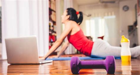 Image result for Virtual Exercise Programs