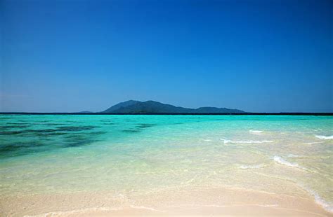 Image result for Java Sea River On Map