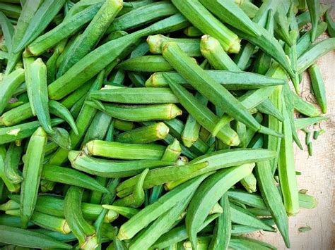 Vegetable - Okra Clemson Spineless - 200 Seeds - Okra – Yorkshire Seeds