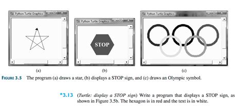 Turtle Graphics Python Infinite Loop 的图像结果