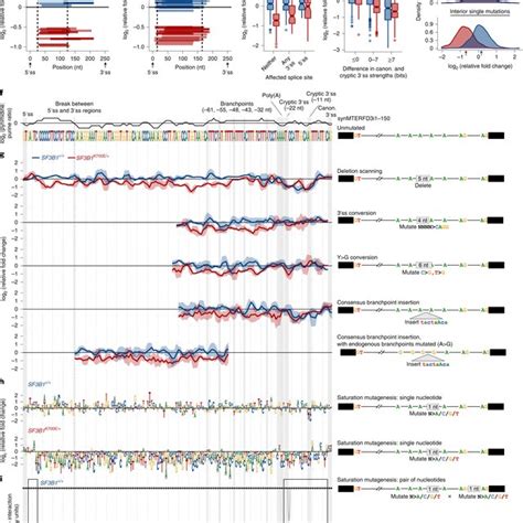 Image result for Parallel Screening