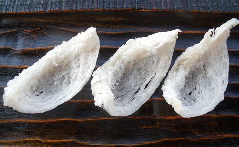 Bird's Nest Soup Vegetarian at Joan Currie blog