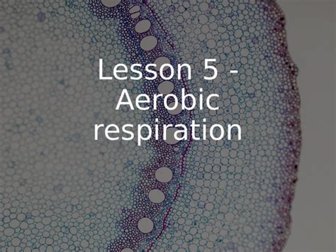 Free Science Lessons Respiration 的图像结果