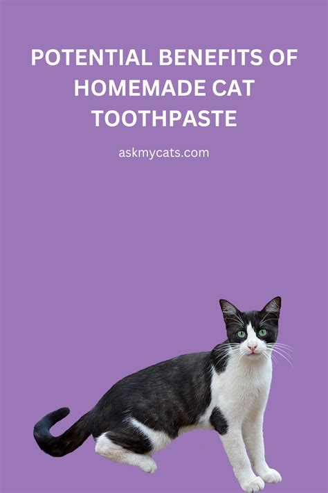 Image result for Homemade Cat Toothpaste
