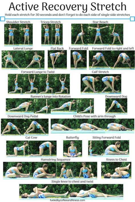 Image result for Exercise Recovery