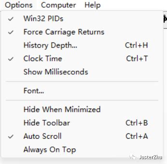 DebugView in .Net and View Table Bolean 的图像结果
