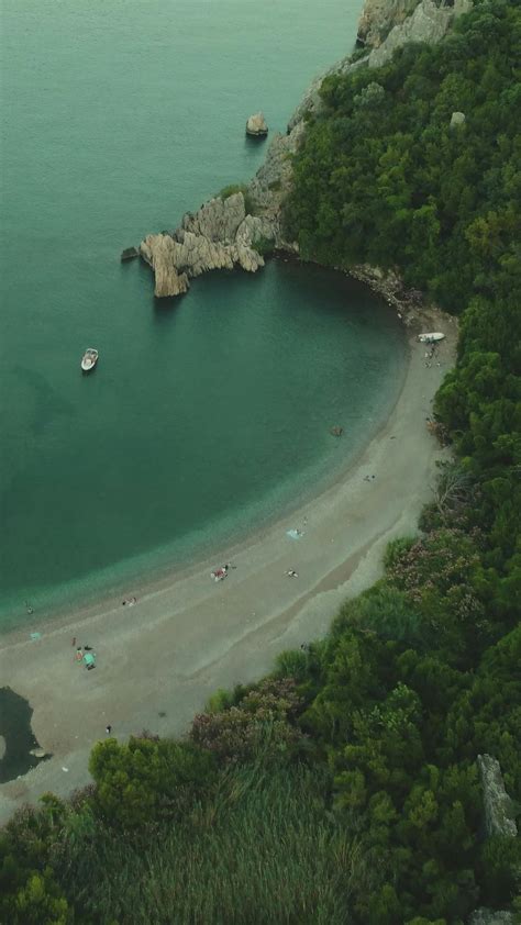 Royalty Free Stock Footage 的图像结果