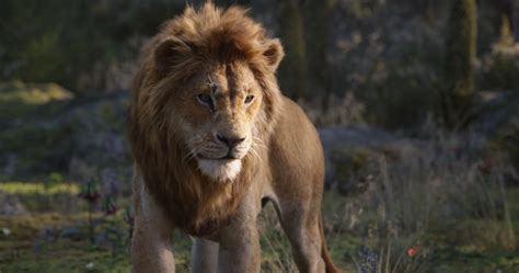 碧昂丝配音首次发声《狮子王》最新预告片公开_3DM单机