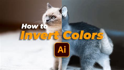 Image result for Invert Color InDesign
