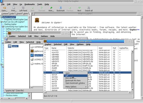 Image result for Gopher Script Extender