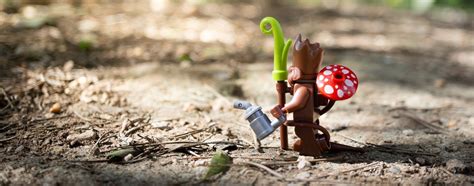 Beginners Exercise Plan 的图像结果