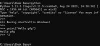 Image result for How to Terminate Python Program in Terminal