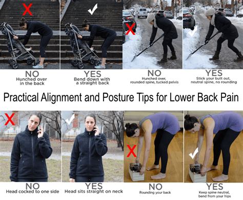 Lower Back Alignment 的图像结果