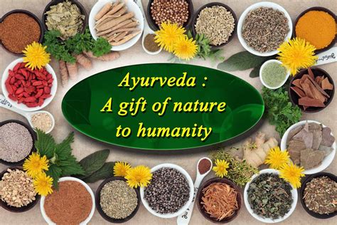 Ayurvedic Herbal Medicine 的图像结果