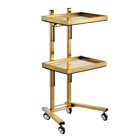 Xiazibeauty Cart Rolling Tool Trolley 2 Tier Storage Tray Salon ...