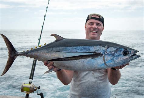 Albacore Tuna Guide: Size, Habits, Lures & Game Fishing in NZ