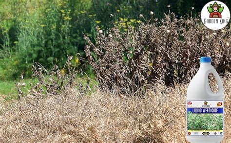 Garden King™ Liquid Weedicide, Premium Essential Liquid Weedicide for ...