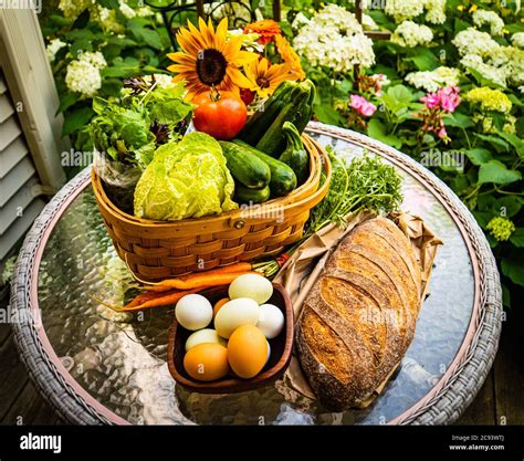 CSA Community Supported Agriculture 的图像结果