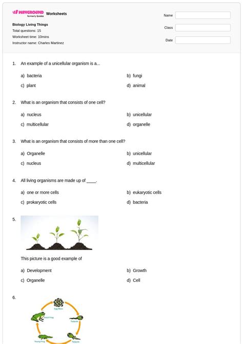 50+ Biology worksheets for Class 6 on Wayground | Free & Printable